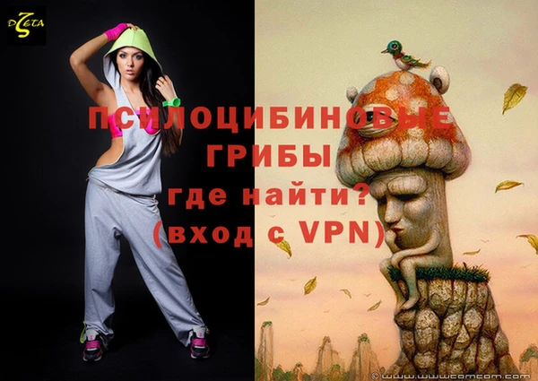 эйфоретик Арсеньев