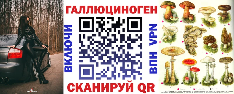 наркошоп  Волгоград  Галлюциногенные грибы Psilocybine cubensis 
